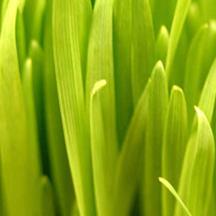 智能便捷强大的黑客靠什么攻击服务器