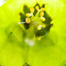 一体化管理的怎么打别人的服务器